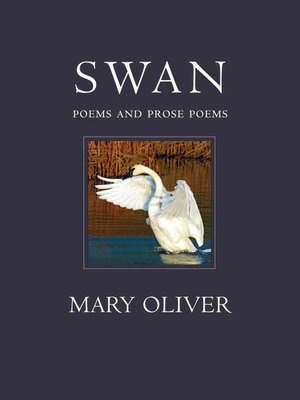 cover image of The Swan